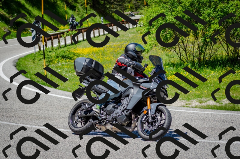 202506011246-DSC_4465_c2