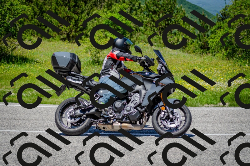 202506011246-DSC_4466_c2