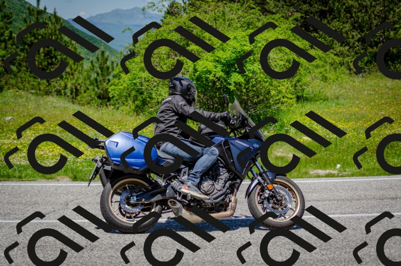 202506011246-DSC_4472_c2