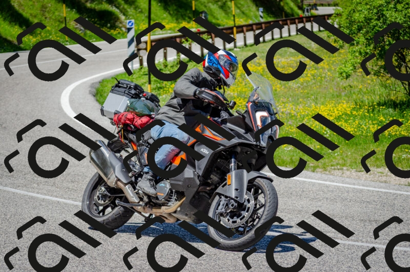 202506011247-DSC_4475_c2