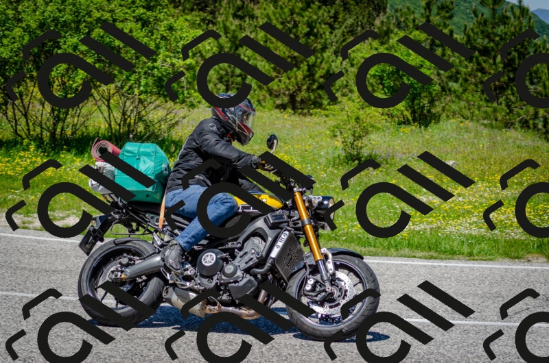 202506011247-DSC_4476_c2