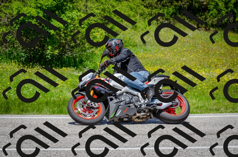 202506011247-DSC_4480_c2