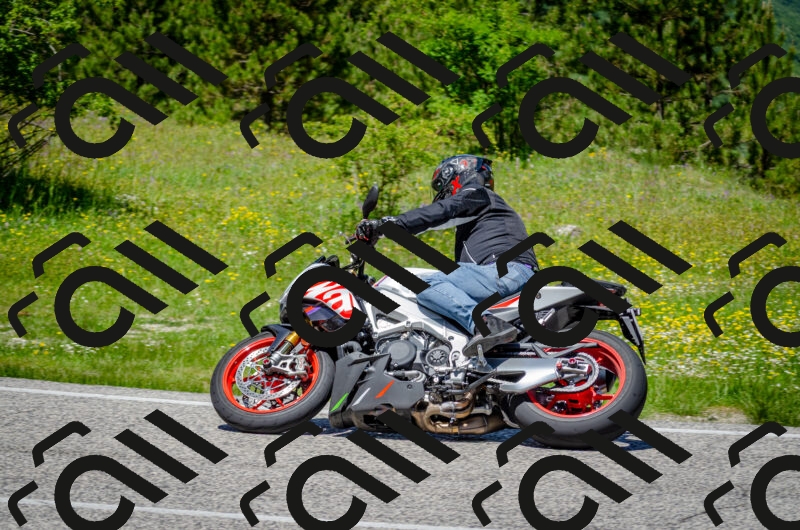 202506011247-DSC_4481_c2