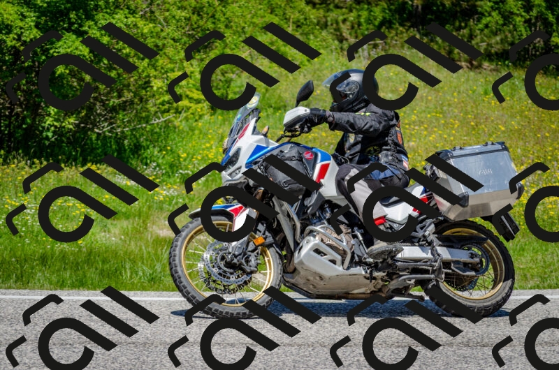 202506011247-DSC_4486_c2