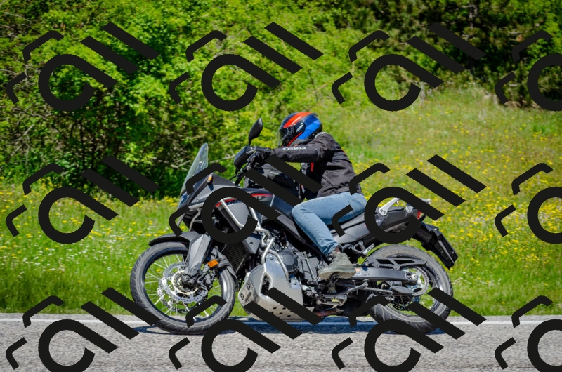 202506011248-DSC_4489_c2