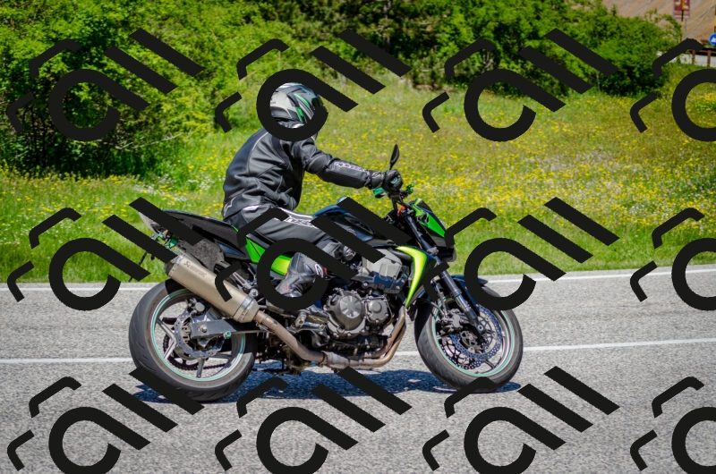 202506011248-DSC_4490_c2