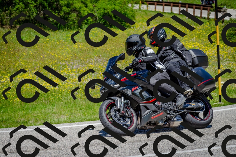 202506011248-DSC_4495_c2