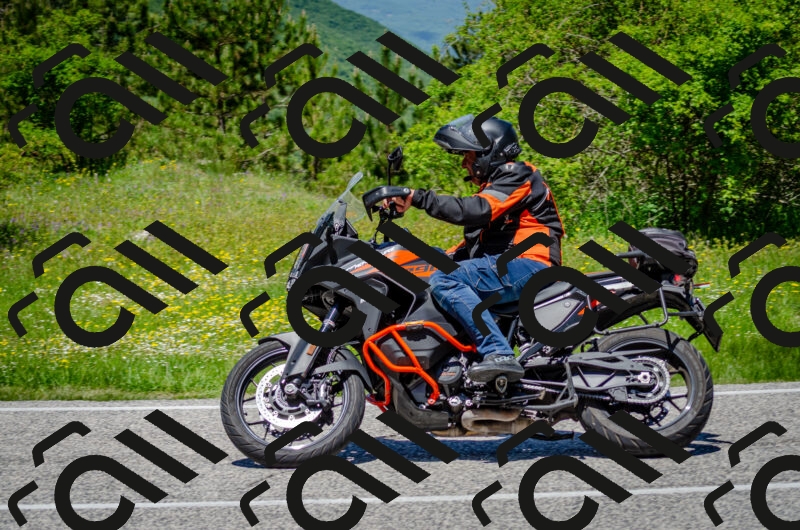 202506011248-DSC_4499_c2