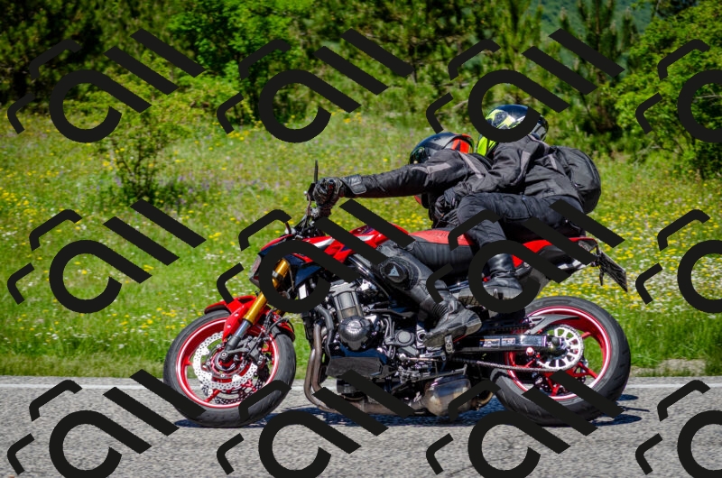 202506011248-DSC_4502_c2