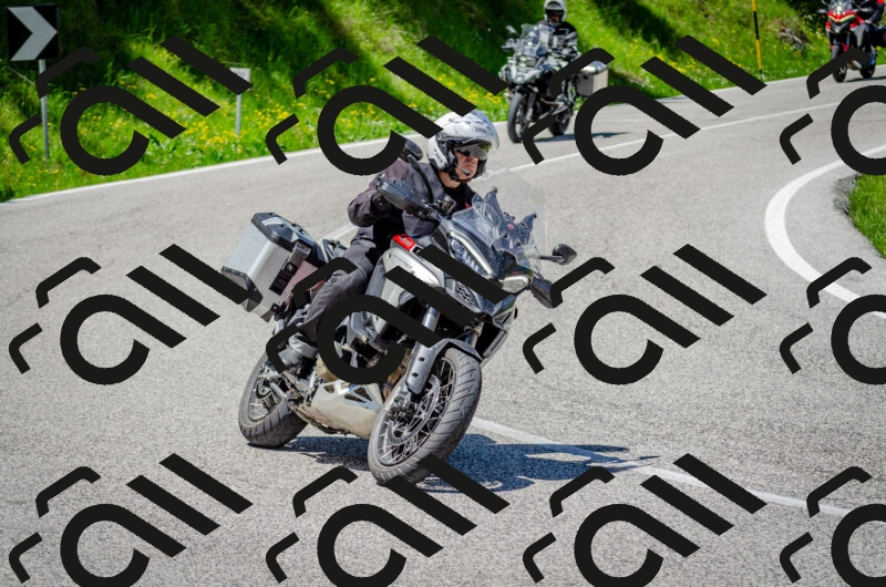 202506011248-DSC_4503_c2