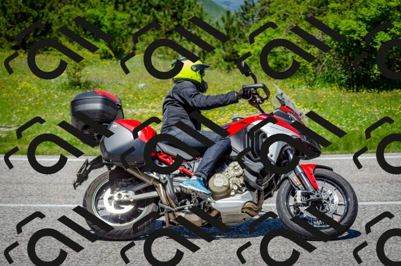 202506011248-DSC_4508_c2