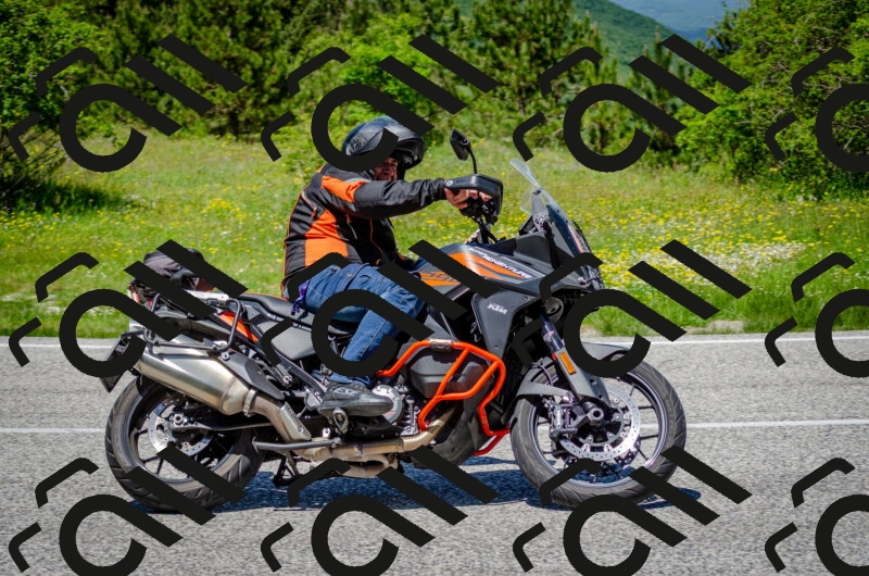 202506011249-DSC_4518_c2