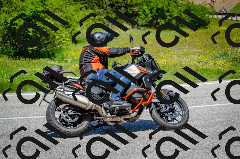 202506011249-DSC_4519_c2