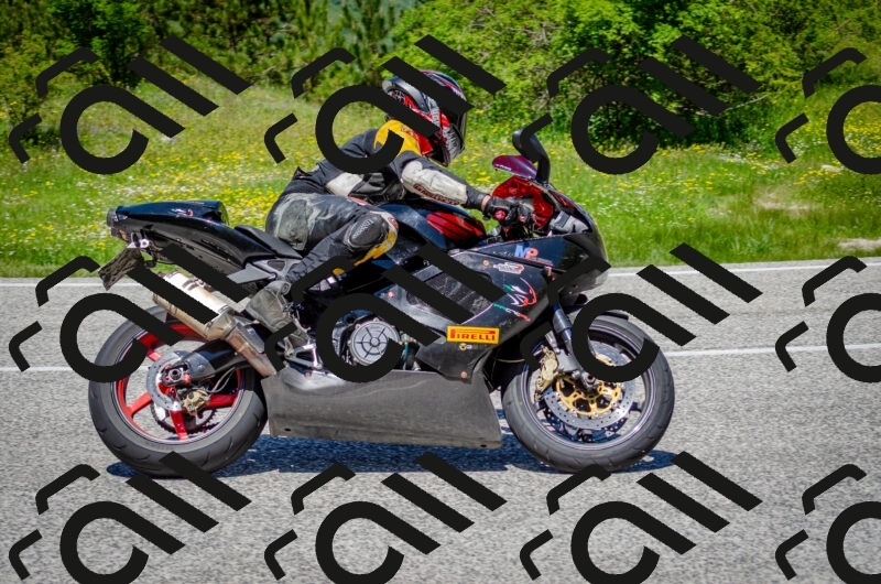 202506011249-DSC_4524_c2