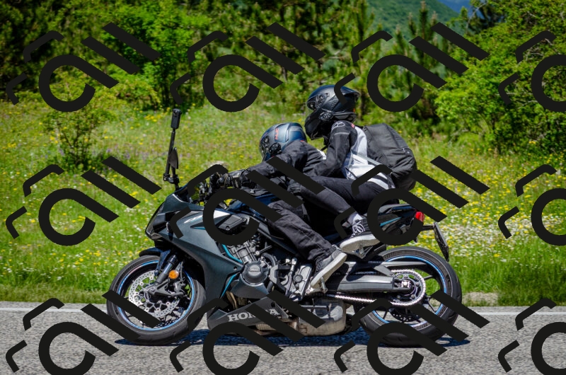 202506011249-DSC_4530_c2