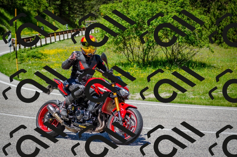 202506011250-DSC_4533_c2