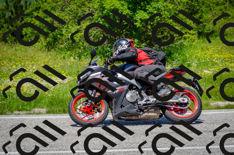 202506011250-DSC_4541_c2