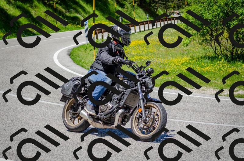 202506011250-DSC_4546_c2