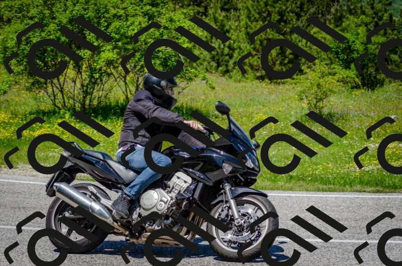 202506011250-DSC_4551_c2