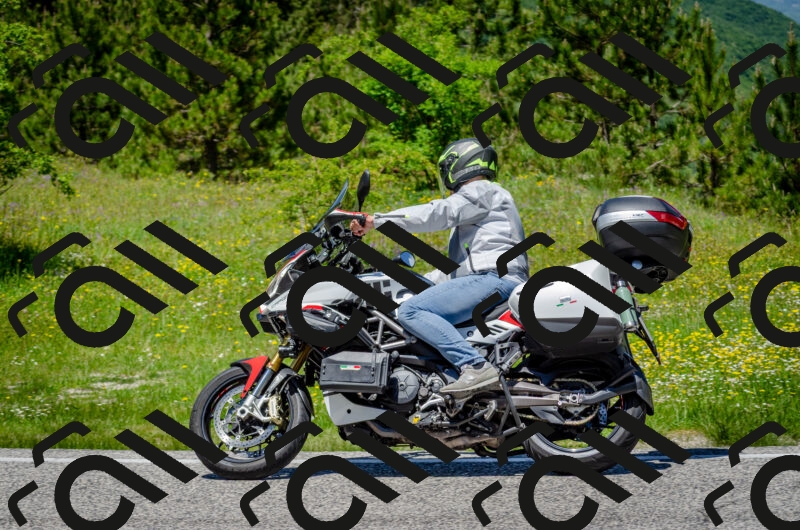 202506011251-DSC_4554_c2