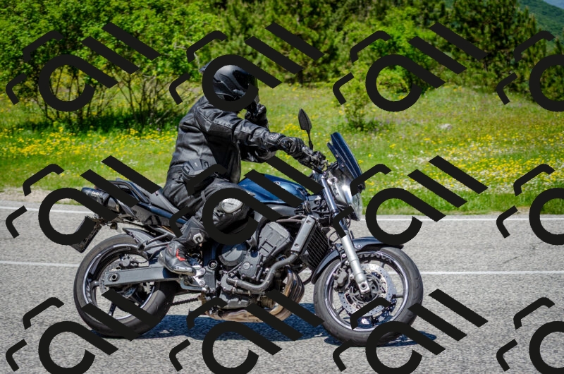 202506011251-DSC_4556_c2