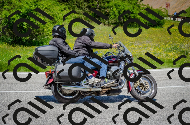 202506011251-DSC_4559_c2