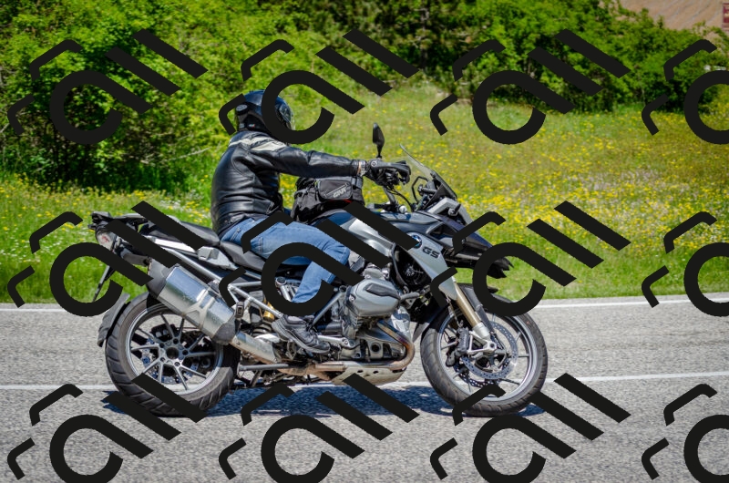 202506011251-DSC_4561_c2