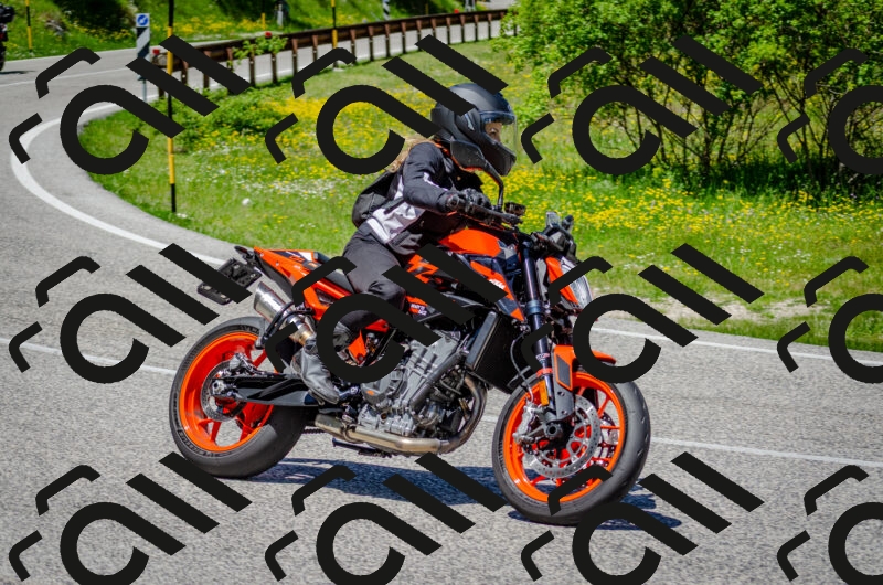 202506011252-DSC_4563_c2