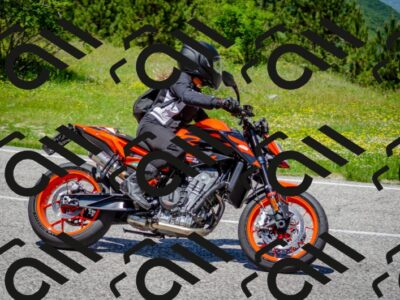 202506011252-DSC_4564_c2