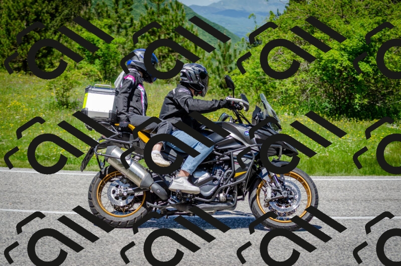 202506011252-DSC_4567_c2