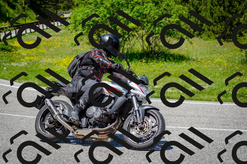 202506011252-DSC_4579_c2