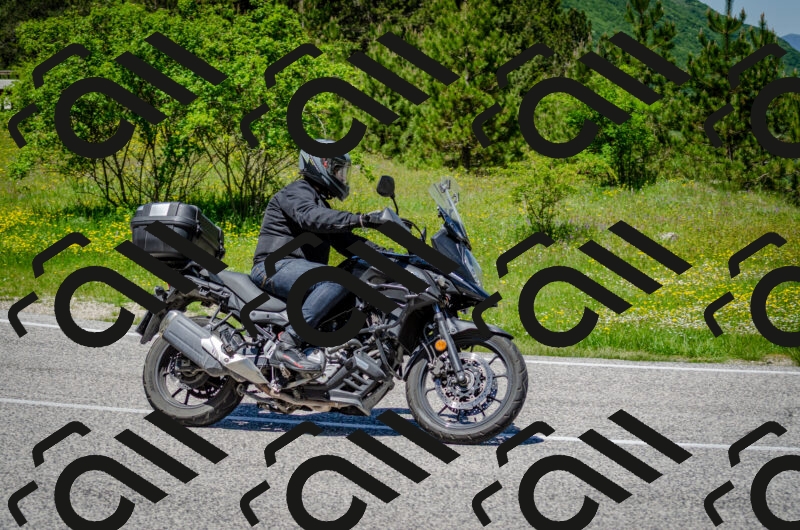 202506011252-DSC_4585_c2