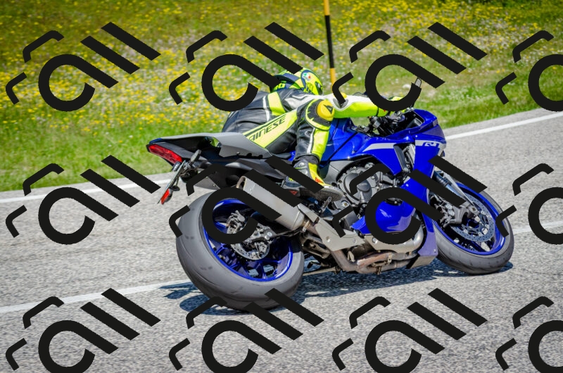 202506011253-DSC_4594_c2