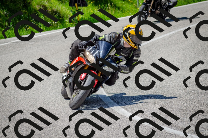 202506011253-DSC_4596_c2