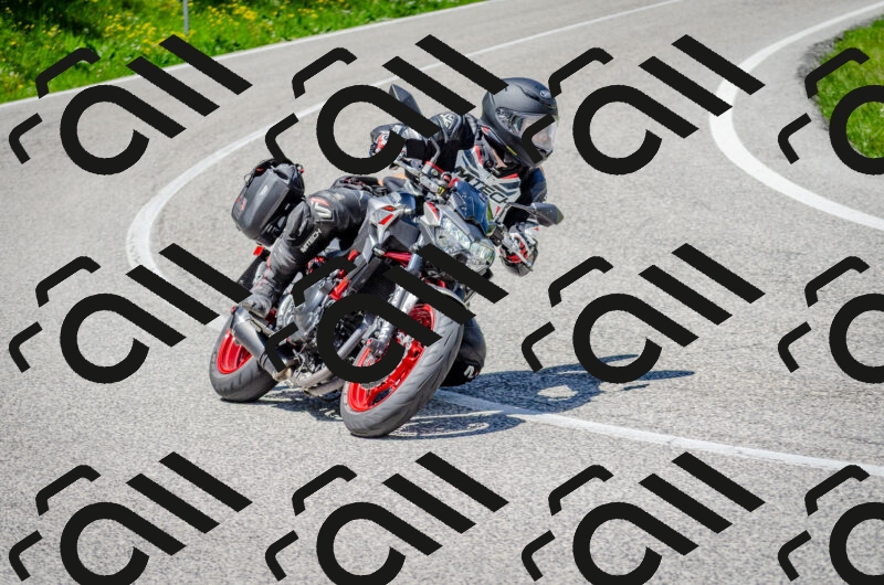 202506011253-DSC_4602_c2