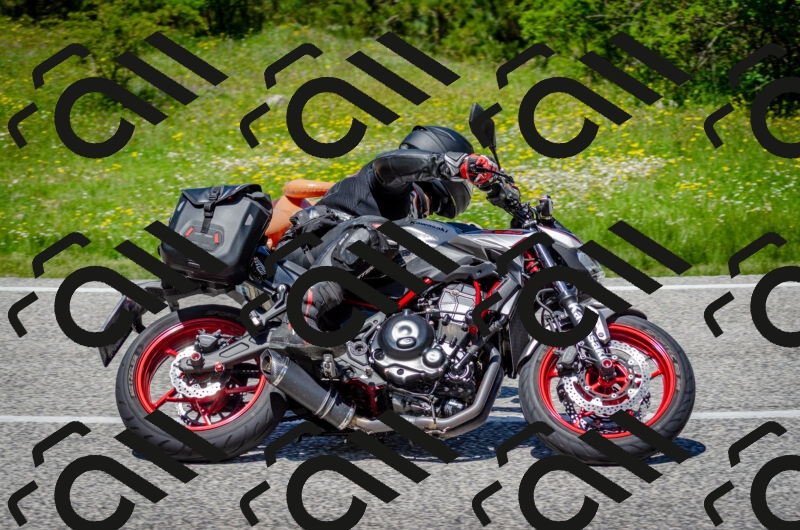 202506011253-DSC_4603_c2