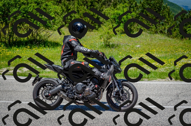 202506011254-DSC_4607_c2