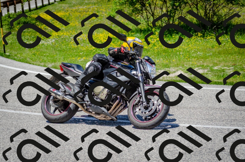 202506011254-DSC_4611_c2