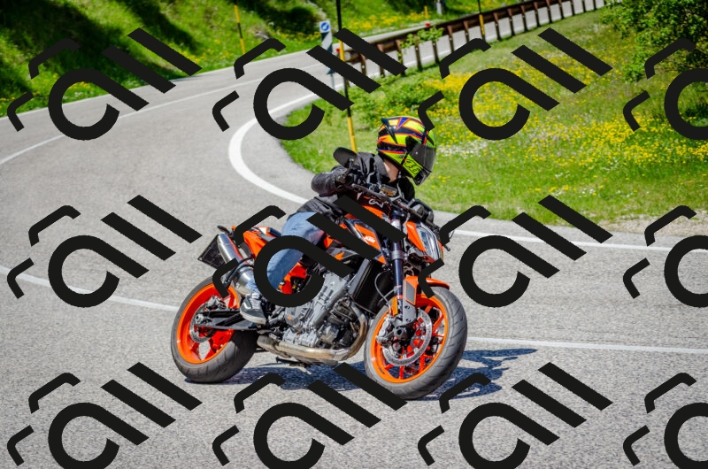 202506011254-DSC_4612_c2