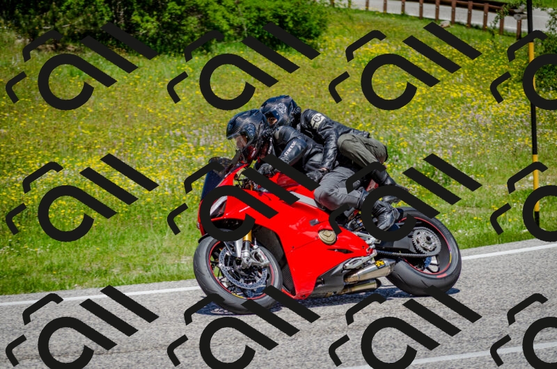 202506011255-DSC_4615_c2