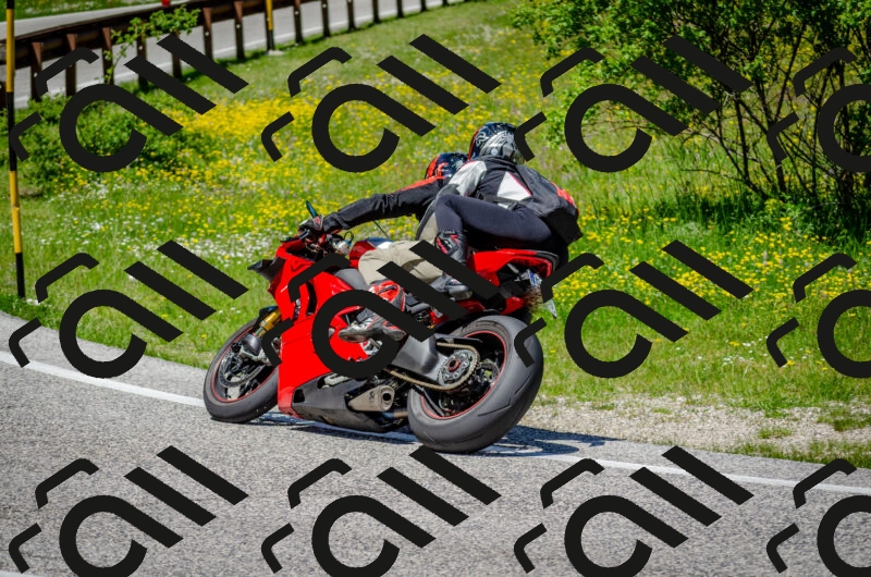 202506011255-DSC_4618_c2