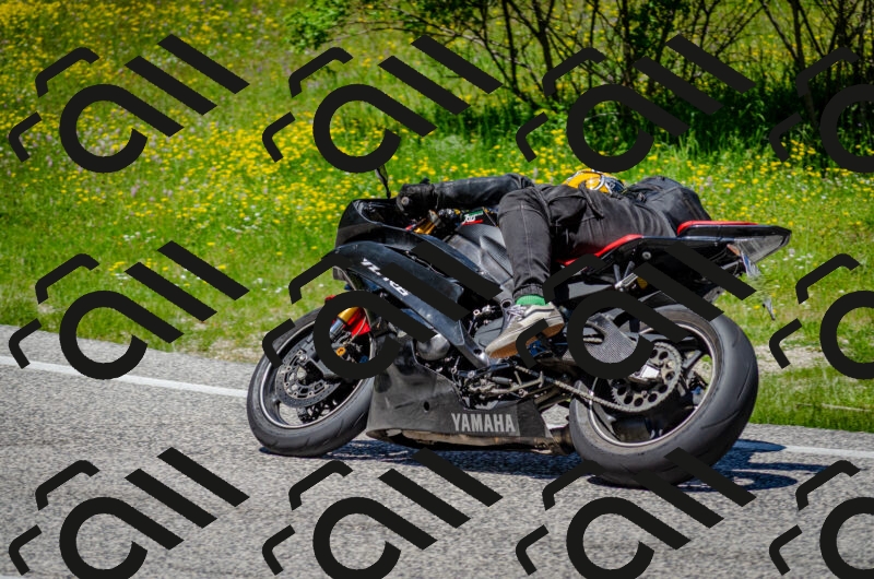 202506011255-DSC_4622_c2