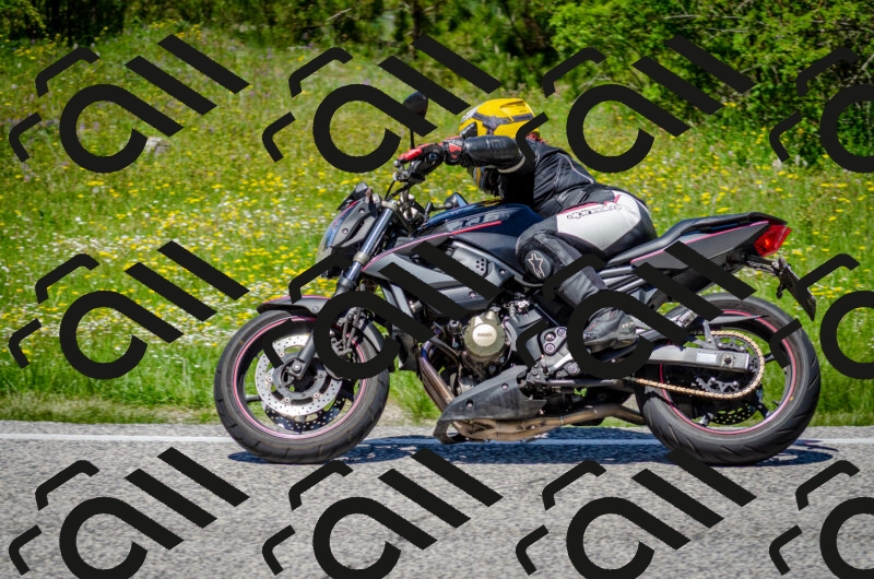 202506011255-DSC_4625_c2