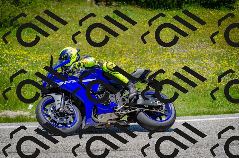 202506011255-DSC_4626_c2