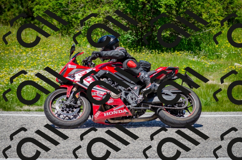 202506011255-DSC_4629_c2