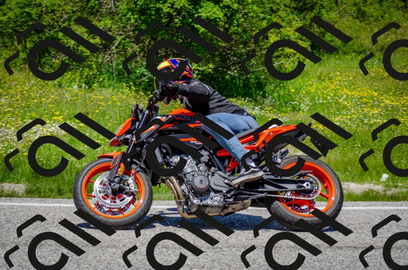 202506011255-DSC_4631_c2