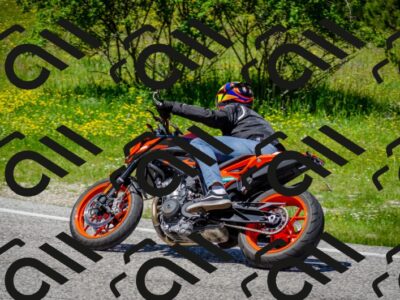 202506011255-DSC_4632_c2