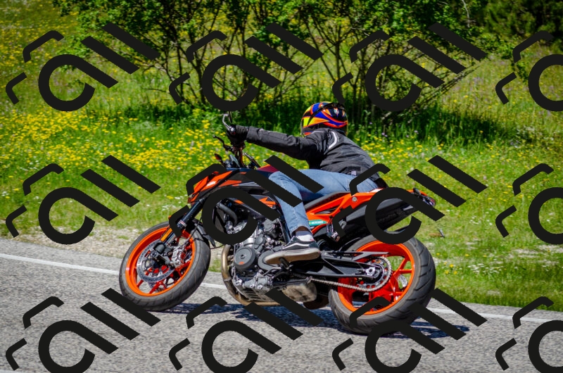 202506011255-DSC_4632_c2