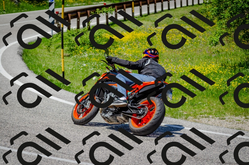 202506011255-DSC_4633_c2