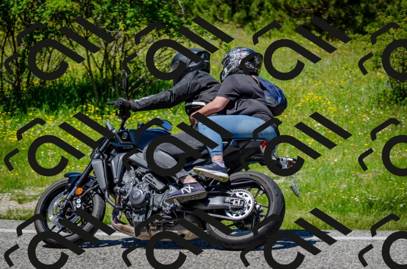 202506011256-DSC_4638_c2